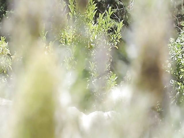 Siesta time and hot outdoor sex with milf babe Georgie Lyall