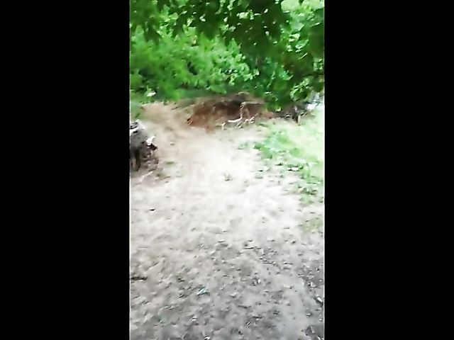 Outdoor amateur GF Alina gets nailed outdoors by the car 