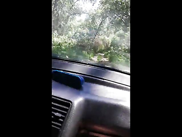 Russian car doggy style with amateur hottie Alina