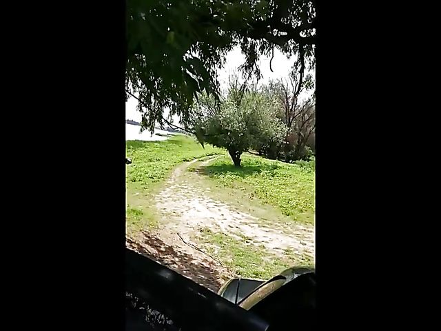 Russian car doggy style with amateur hottie Alina