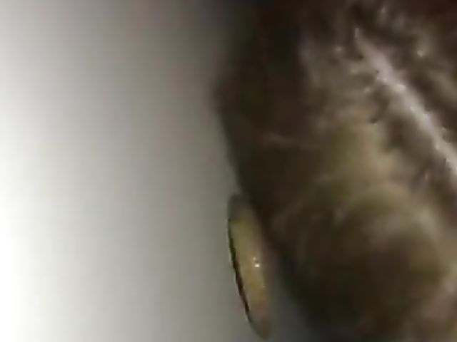 Amateur gloryhole with a cum hungry woman