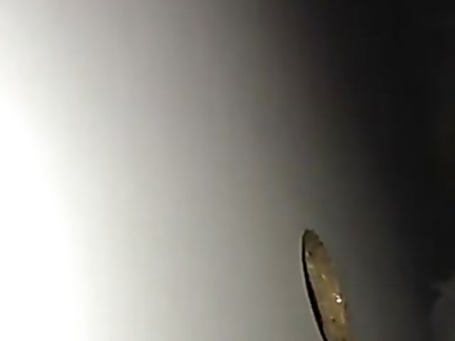 Amateur gloryhole with a cum hungry woman