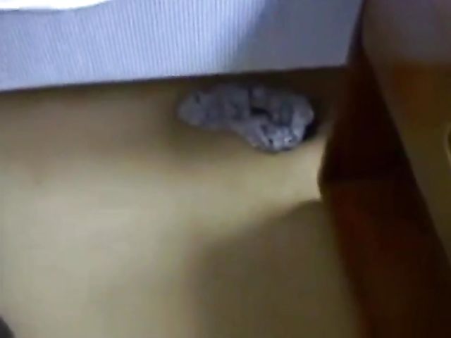 Homemade anal with a pretty blonde getting assfucked from behind 