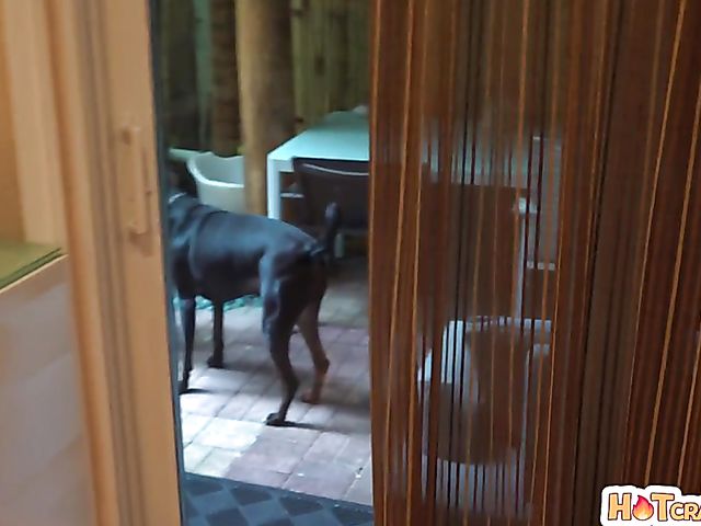 Point-of-view sex with redhead teen Amber Addis