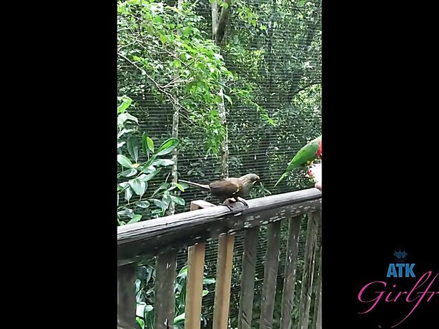 Behind the scenes of Elena Koshka's ATK girlfriend experience