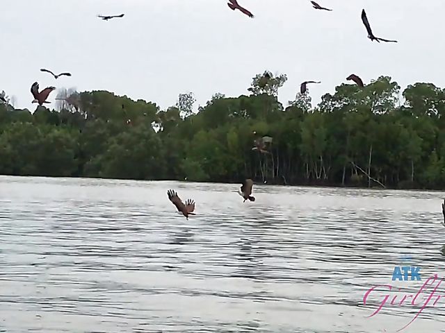 Behind the scenes of Elena Koshka's ATK girlfriend experience