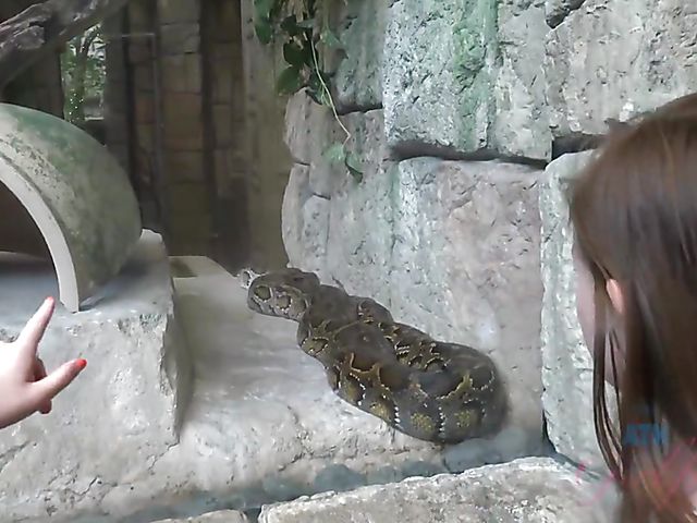 Hairy lesbian girlfriends Simone Delilah and Lara Brookes in Vegas