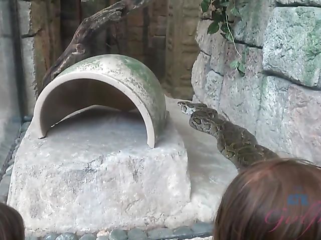 Hairy lesbian girlfriends Simone Delilah and Lara Brookes in Vegas