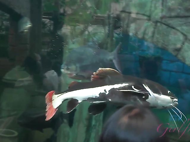 Hairy lesbian girlfriends Simone Delilah and Lara Brookes in Vegas