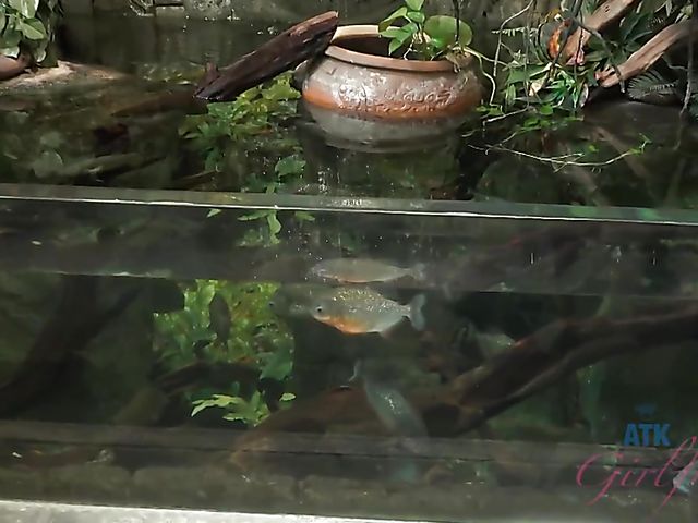 Hairy lesbian girlfriends Simone Delilah and Lara Brookes in Vegas