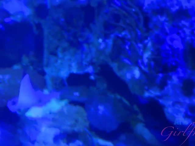 Hairy lesbian girlfriends Simone Delilah and Lara Brookes in Vegas