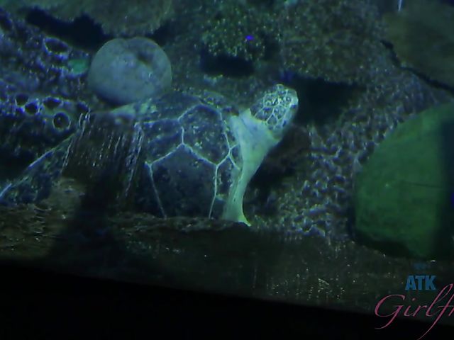 Hairy lesbian girlfriends Simone Delilah and Lara Brookes in Vegas