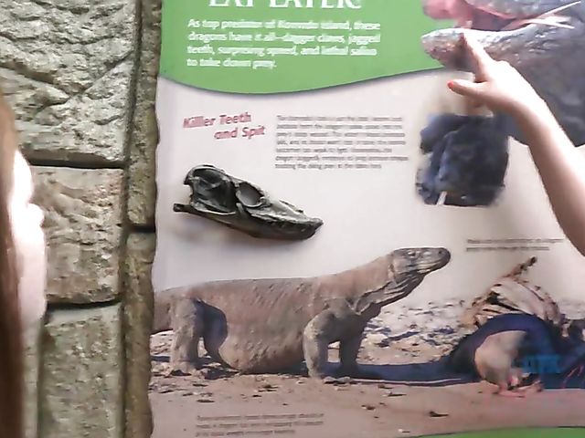 Hairy lesbian girlfriends Simone Delilah and Lara Brookes in Vegas