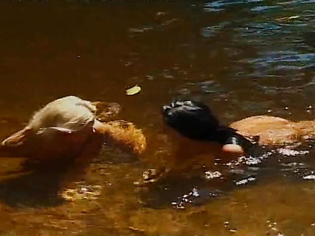 Classic lesbian outdoor loving in the mountains with Yasmine Fitzgerald and Sunny Blue