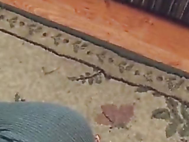 Amateur drunk wife sucking dicks for cum all over her face