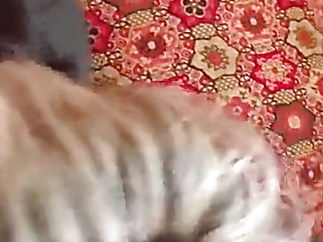 Amateur drunk wife sucking dicks for cum all over her face