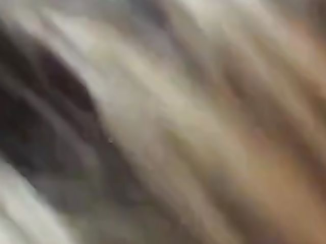 Amateur drunk wife sucking dicks for cum all over her face