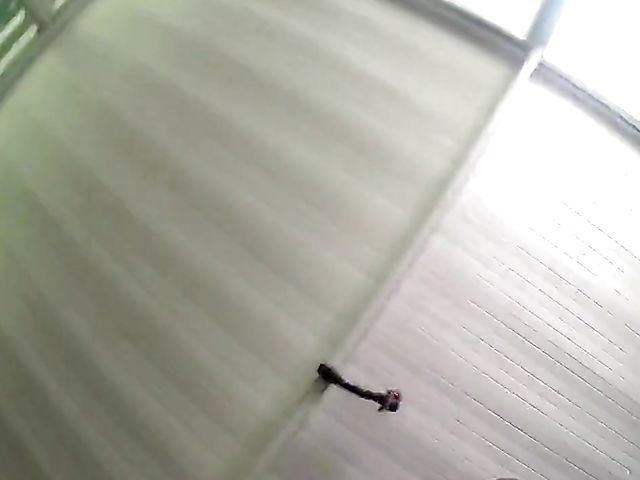 Amateur mom interracial sextape with her black lover