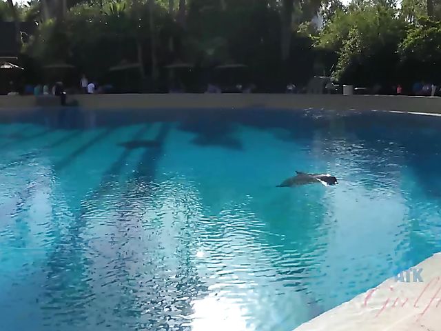 Nude wet brunette Gianna Nicole shaving pussy in the bathtub