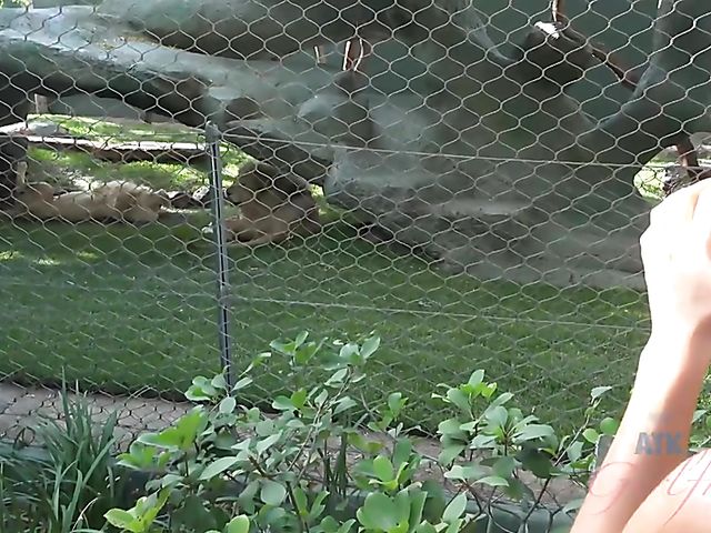 Nude wet brunette Gianna Nicole shaving pussy in the bathtub