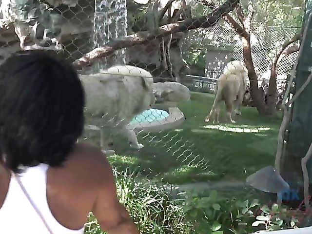 Nude wet brunette Gianna Nicole shaving pussy in the bathtub