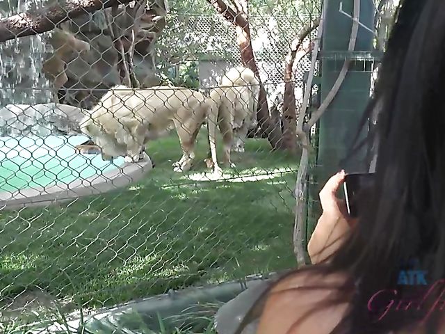 Nude wet brunette Gianna Nicole shaving pussy in the bathtub