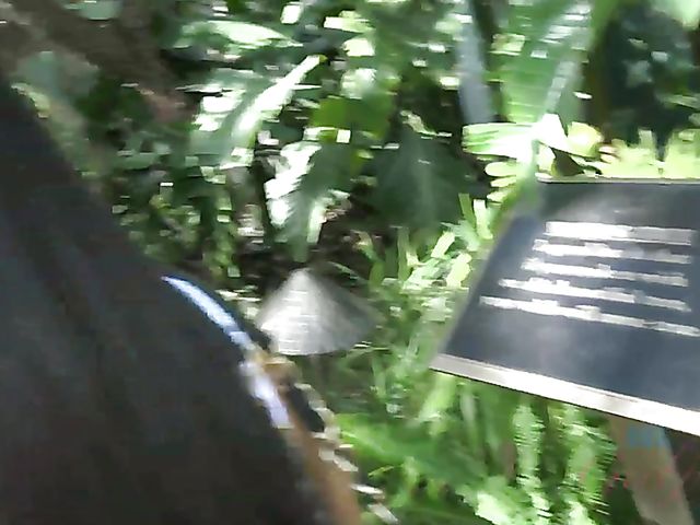 Nude wet brunette Gianna Nicole shaving pussy in the bathtub