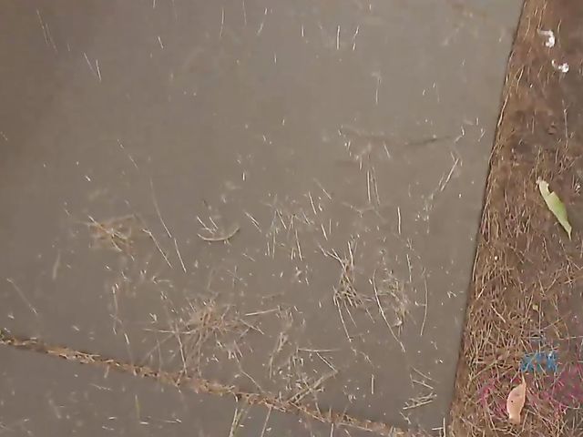 Traveling with naughty blonde teen Chloe Temple