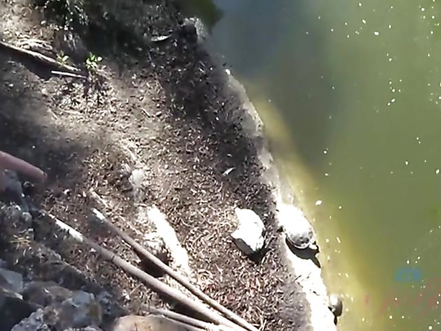 Lily Adams - Girlfriend's teen pussy and tits exposed