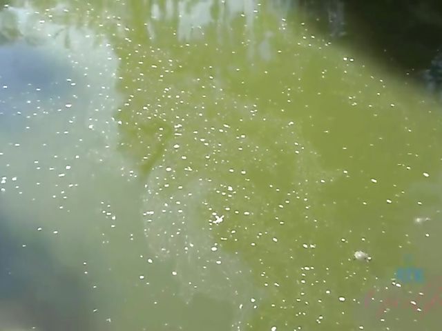 Lily Adams - Girlfriend's teen pussy and tits exposed