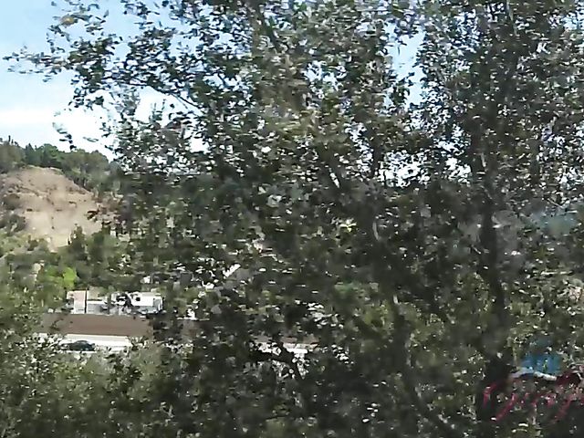 Teen GF Mi Ha Doan shows her exotic pussy POV