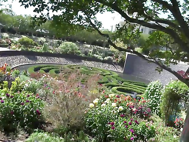 Teen GF Mi Ha Doan shows her exotic pussy POV