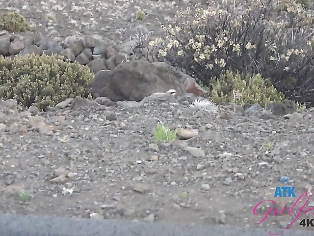 Black girlfriend Noemie Bilas gets ass fucked by her white lover