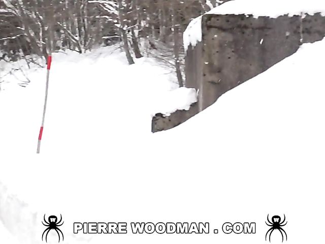 Fur coat and stockings DP in winter with blonde Teena Doll