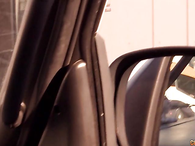 Backseat fuck with busty pretty blonde Donna Bell