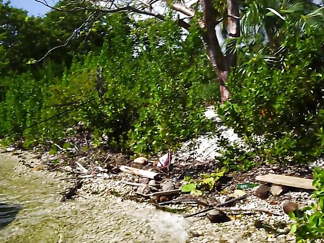 Thick teen Brie Viano flashing in the sea and banging outdoors