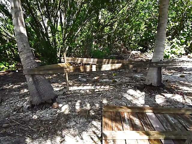 Thick teen Brie Viano flashing in the sea and banging outdoors