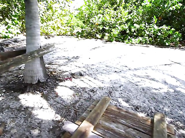 Thick teen Brie Viano flashing in the sea and banging outdoors