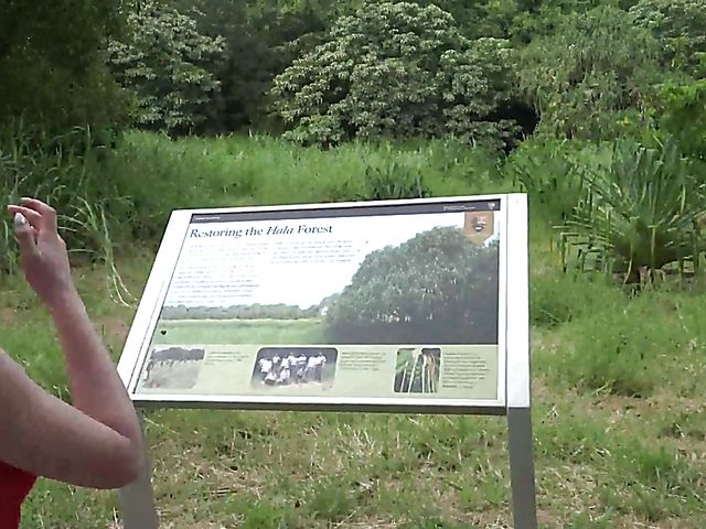 Teen car fingering and flashing in nature with cute GF Melody Marks