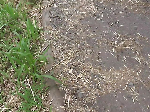 Teen car fingering and flashing in nature with cute GF Melody Marks