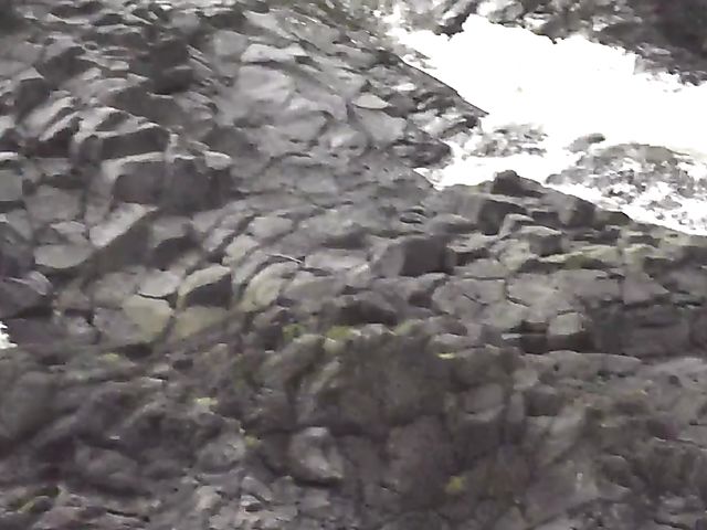 Teen car fingering and flashing in nature with cute GF Melody Marks