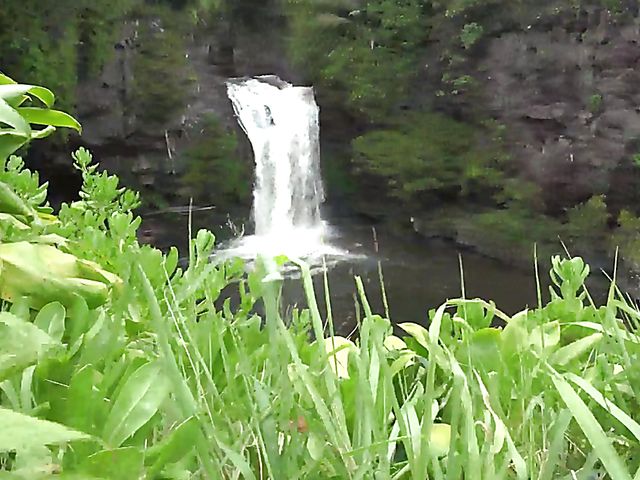 Teen car fingering and flashing in nature with cute GF Melody Marks