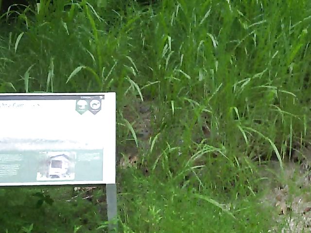 Teen car fingering and flashing in nature with cute GF Melody Marks