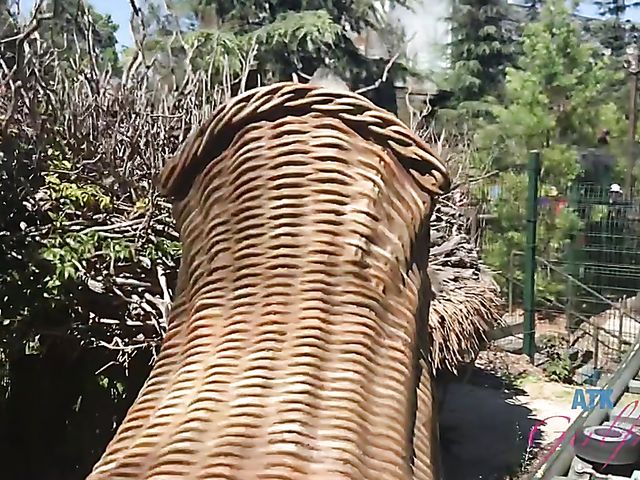 ATK Girlfriends point of view sex with sweet teen Winter Jade