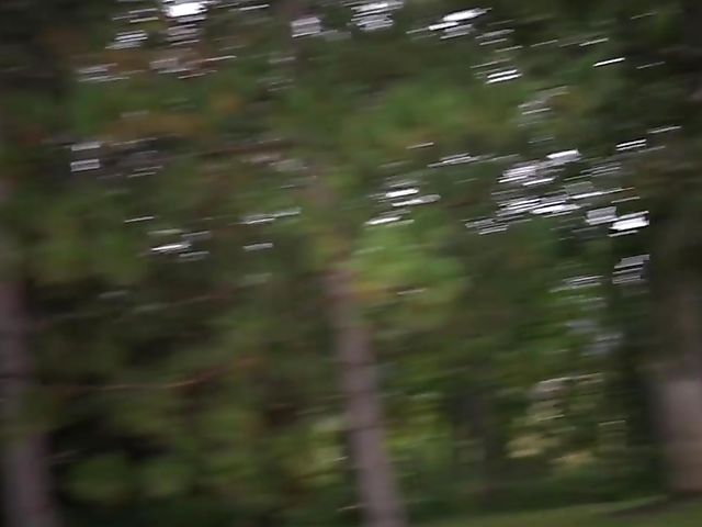 India Summer - MILF doggy style in a pillory with a dirty artist