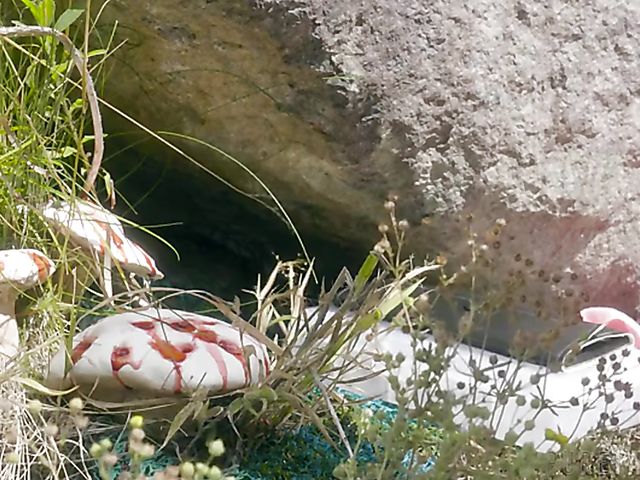 Wild sex outdoors and hallucinations with Bree Daniels and Bella Rolland