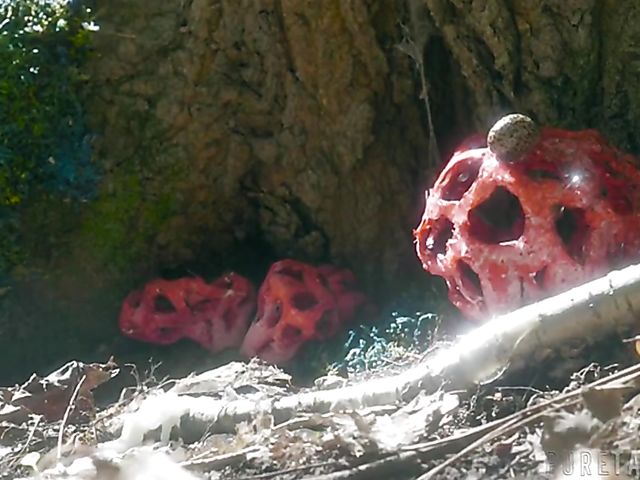 Wild sex outdoors and hallucinations with Bree Daniels and Bella Rolland