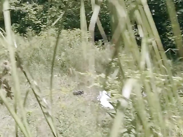 Wild sex outdoors and hallucinations with Bree Daniels and Bella Rolland