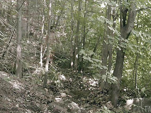 Wild sex outdoors and hallucinations with Bree Daniels and Bella Rolland