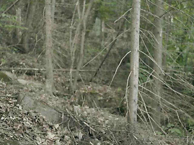 Wild sex outdoors and hallucinations with Bree Daniels and Bella Rolland